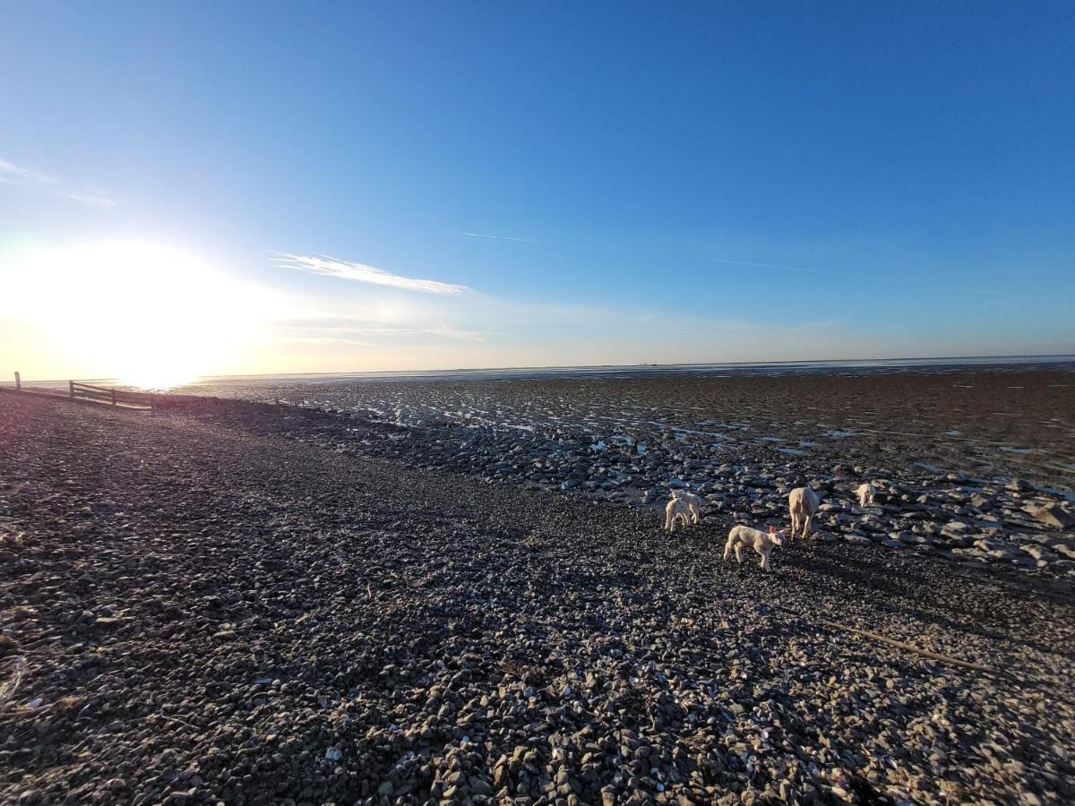 Wierums Huske Aan De Waddenzee Unesco Werelderfgoed Esterno foto