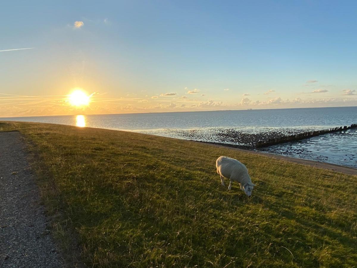 Wierums Huske Aan De Waddenzee Unesco Werelderfgoed Esterno foto