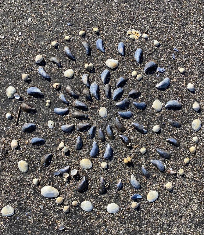 Wierums Huske Aan De Waddenzee Unesco Werelderfgoed Esterno foto